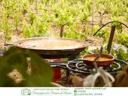 Festival Mar de Tethys 2026 - Bodega Vetas